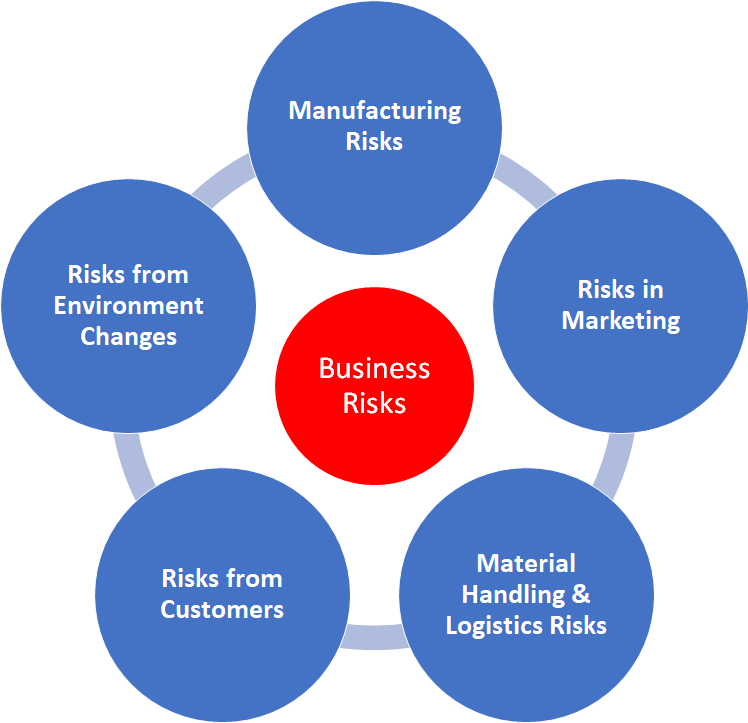 5 Business Risks